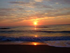 10401969_923985160961585_3196739555153046371_n