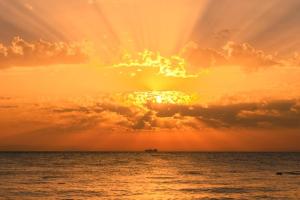 10482302_932128380147263_900962613860301093_n